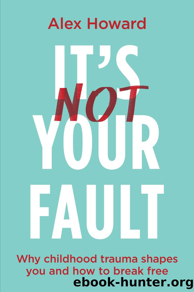 It's Not Your Fault by Alex Howard