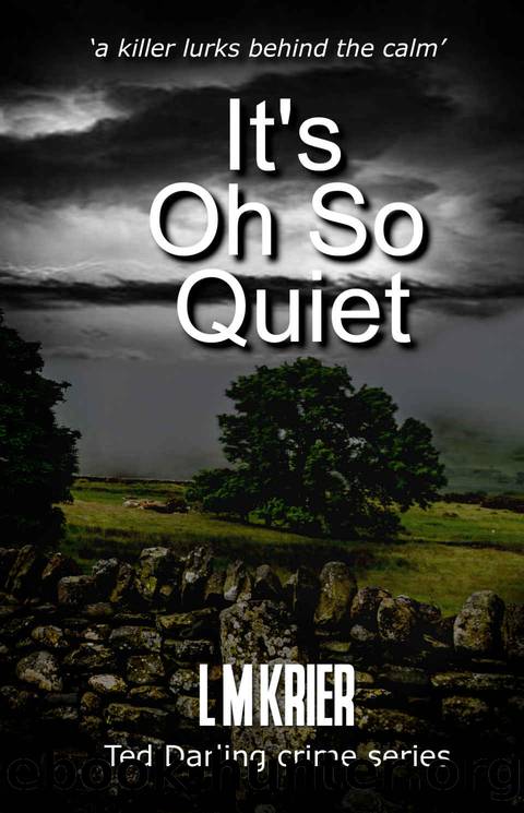 It's Oh So Quiet: a killer lurks behind the calm by L M Krier