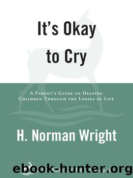 It's Okay to Cry by H. Norman Wright