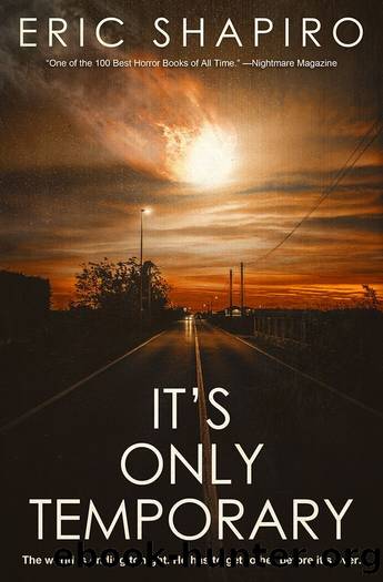 It's Only Temporary by Eric Shapiro