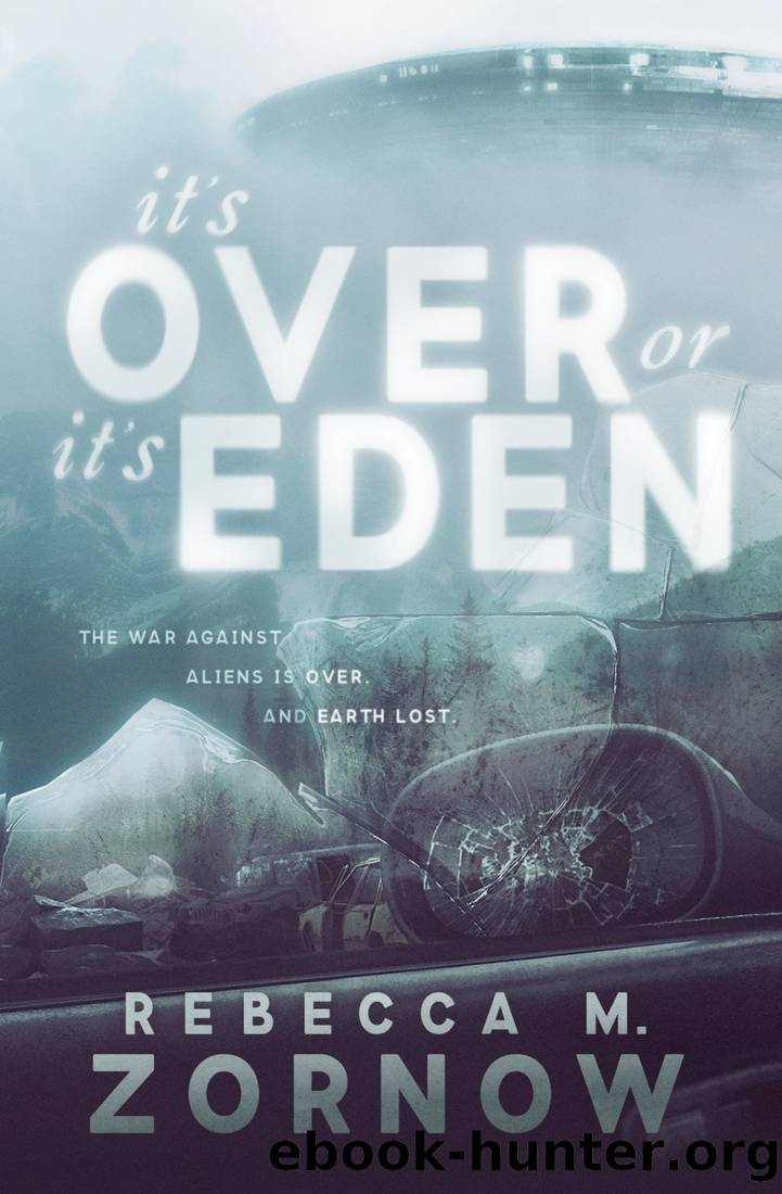 It's Over or It's Eden by Rebecca Zornow