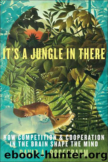 It's a Jungle in There: How Competition and Cooperation in the Brain Shape the Mind by Rosenbaum David A