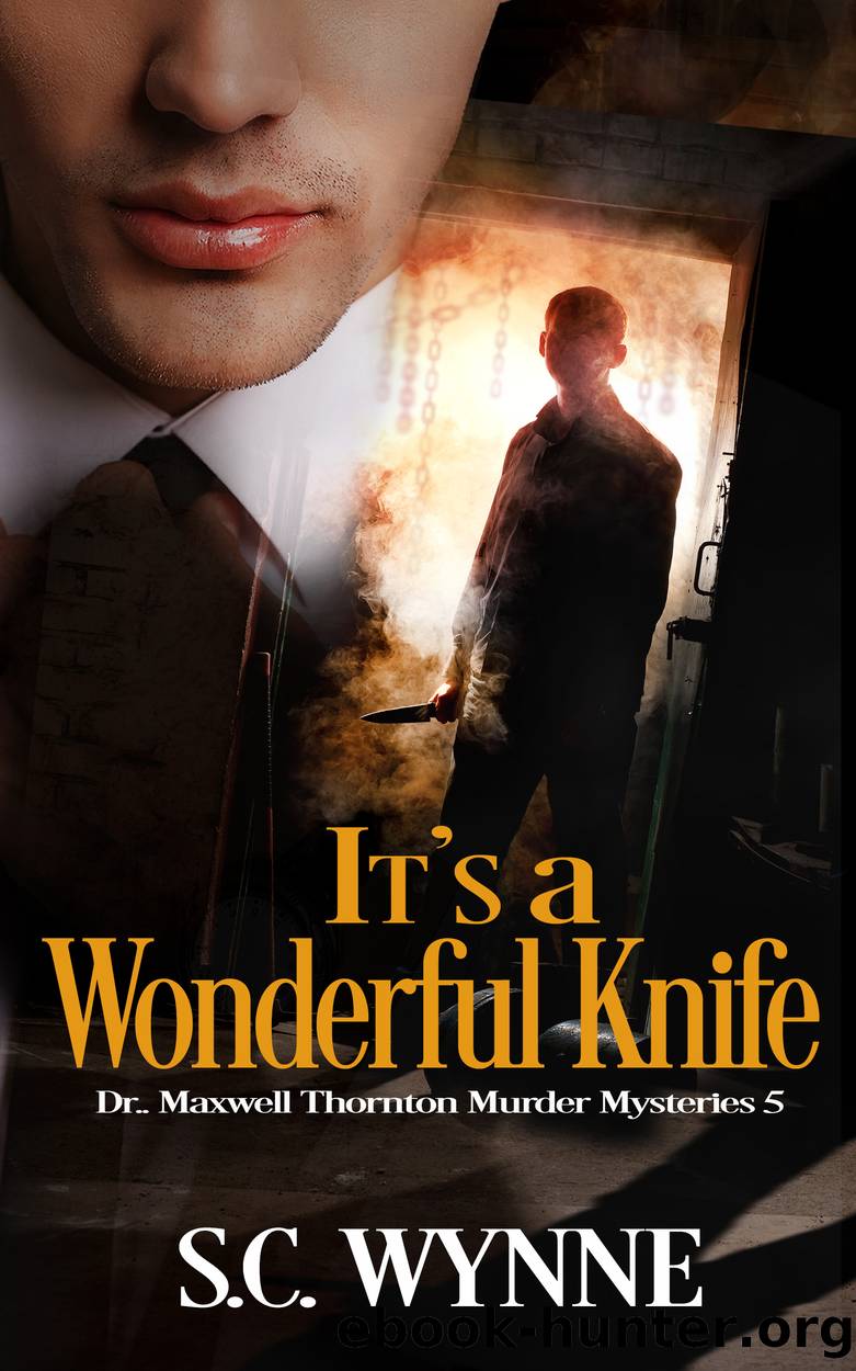 It's a Wonderful Knife by S.C. Wynne