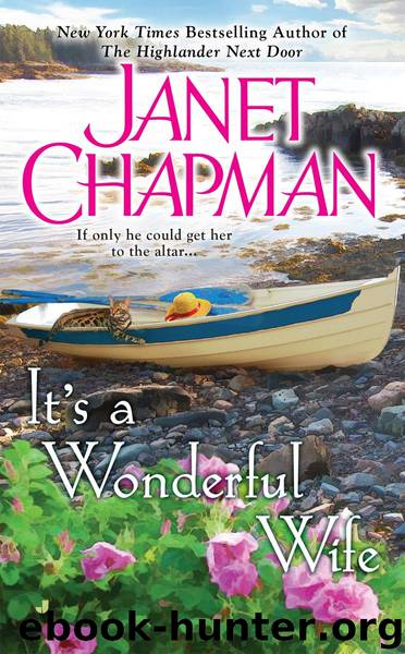 It's a Wonderful Wife by Janet Chapman
