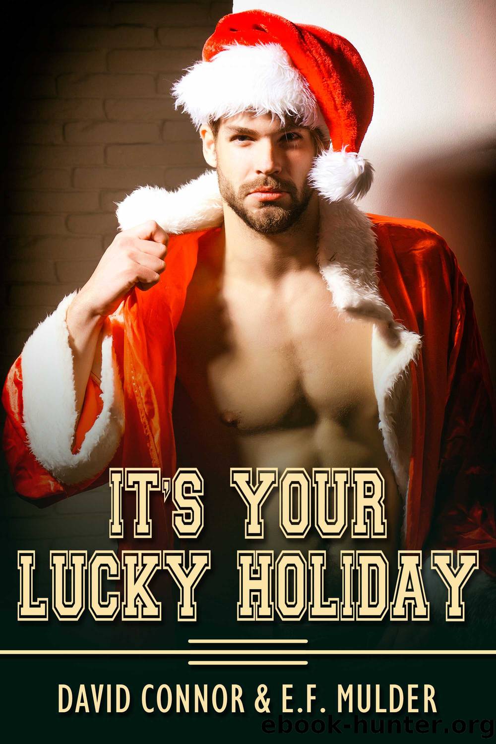 Itâs Your Lucky Holiday by David Connor & E.F. Mulder
