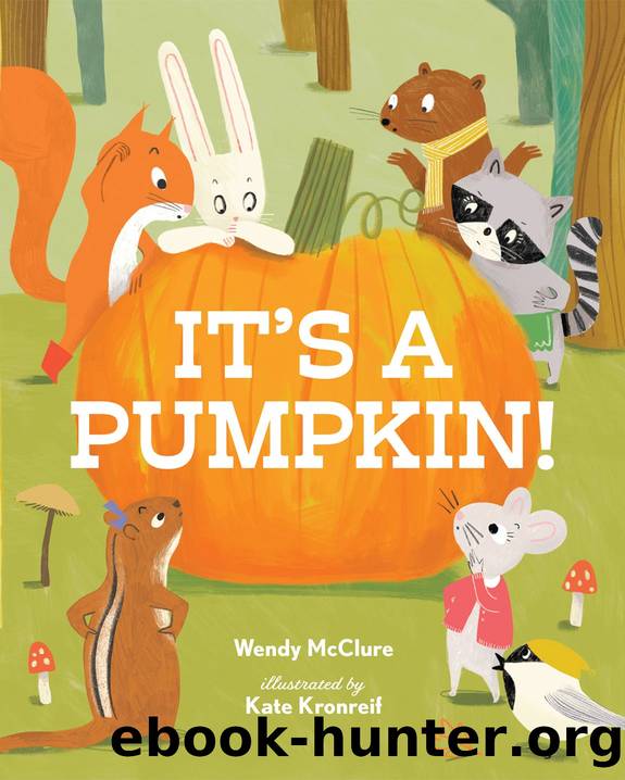 Itâs a Pumpkin! by Wendy McClure