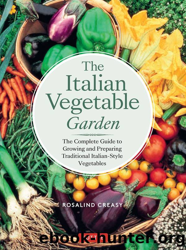Italian Vegetable Garden by Rosalind Creasy