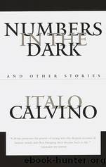 Italo Calvino by Numbers in the Dark