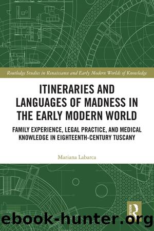 Itineraries and Languages of Madness in the Early Modern World by Mariana Labarca