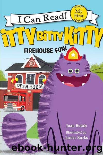 Itty Bitty Kitty: Firehouse Fun by Joan Holub