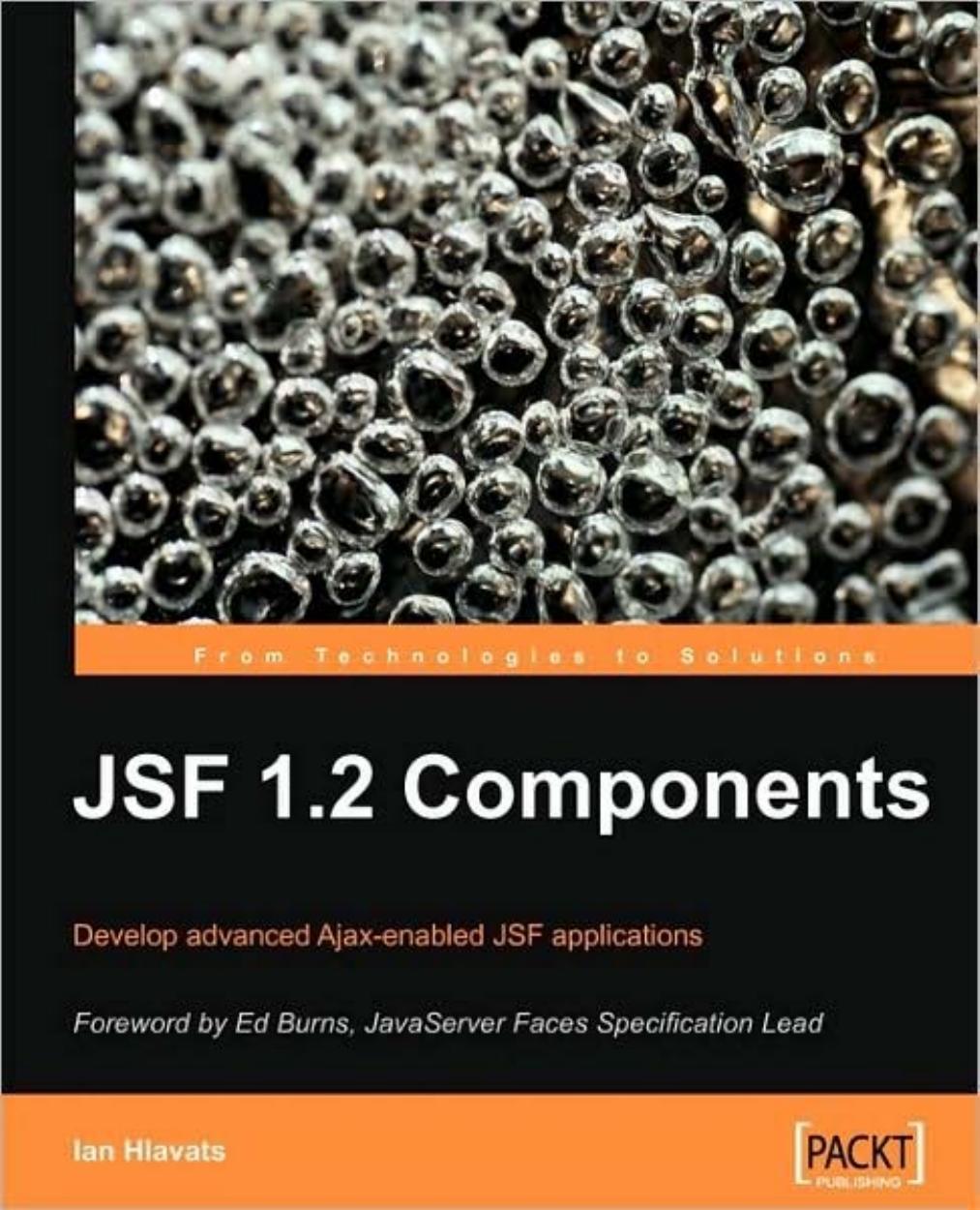 JSF 1.2 Components by Ian Hlavats