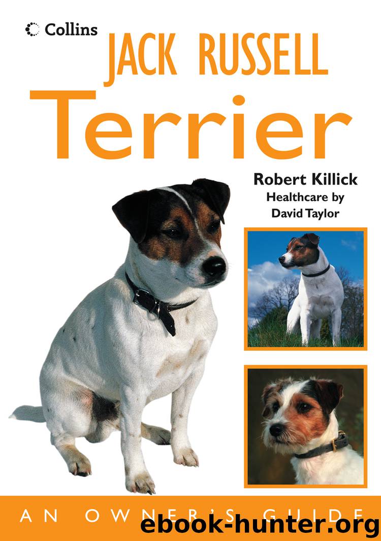 Jack Russell Terrier: An Owner’s Guide by robert killick