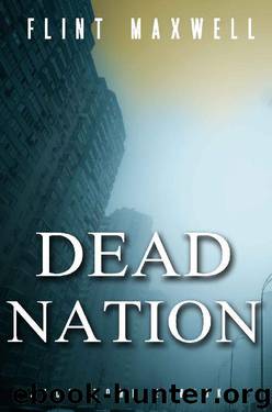 Jack Zombie (Book 3): Dead Nation by Maxwell Flint