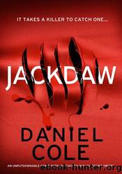 Jackdaw by Daniel Cole