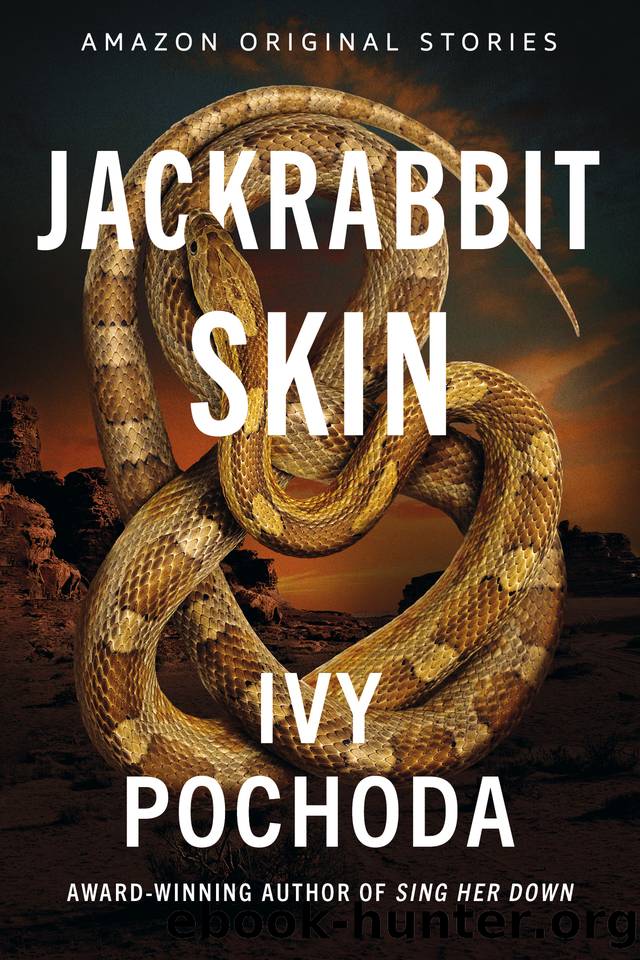 Jackrabbit Skin (Never Tell collection) by Ivy Pochoda