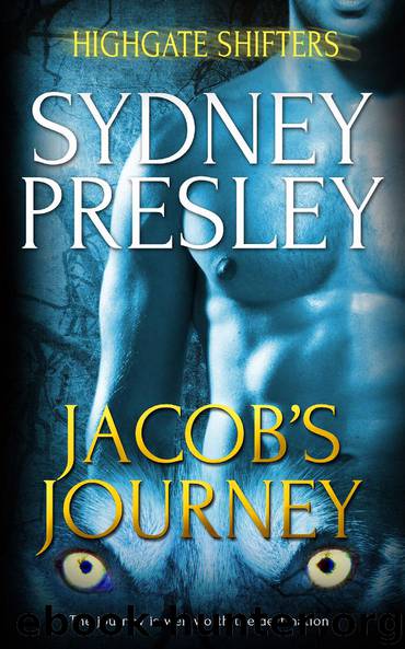 Jacob's Journey by Sydney Presley