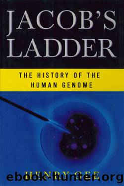 Jacob's Ladder by Henry Gee