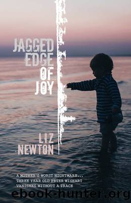 Jagged Edge of Joy by Liz Newton