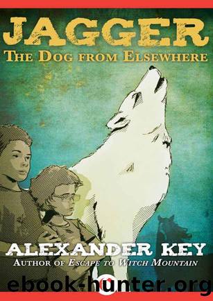 Jagger: The Dog from Elsewhere by Alexander Key
