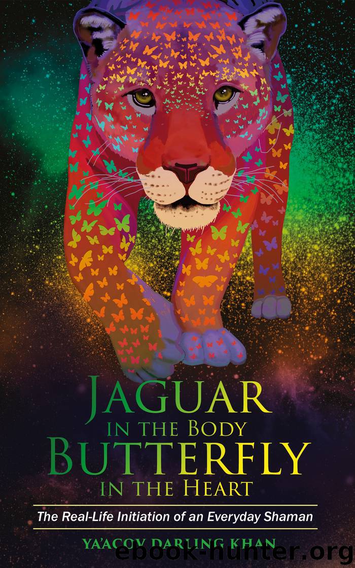 Jaguar in the Body, Butterfly in the Heart by Ya'Acov Darling Khan