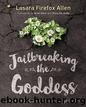 Jailbreaking the Goddess by Lasara Firefox Allen