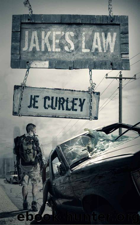 Jake's Law: A Zombie Novel by James Gurley