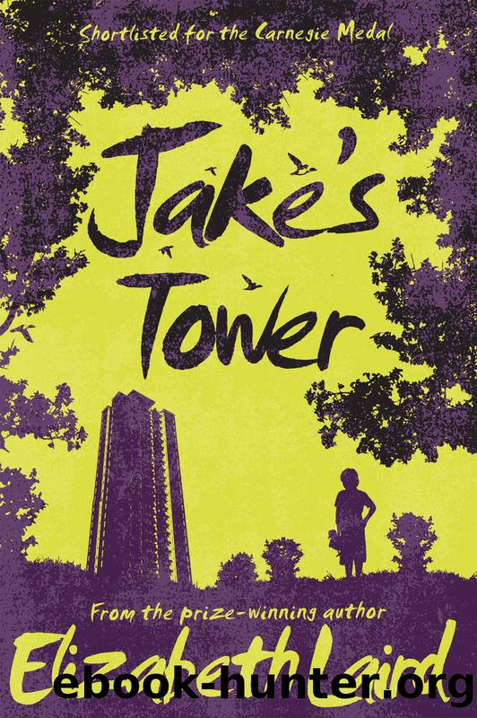 Jake's Tower by Elizabeth Laird