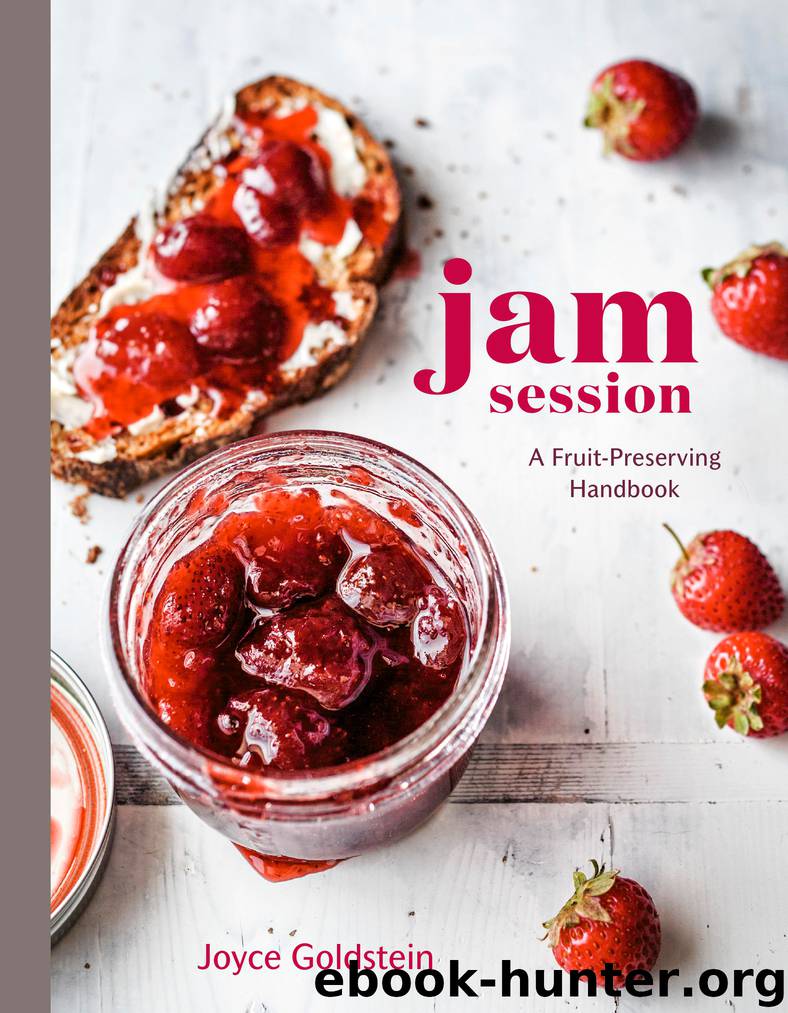 Jam Session by Joyce Goldstein
