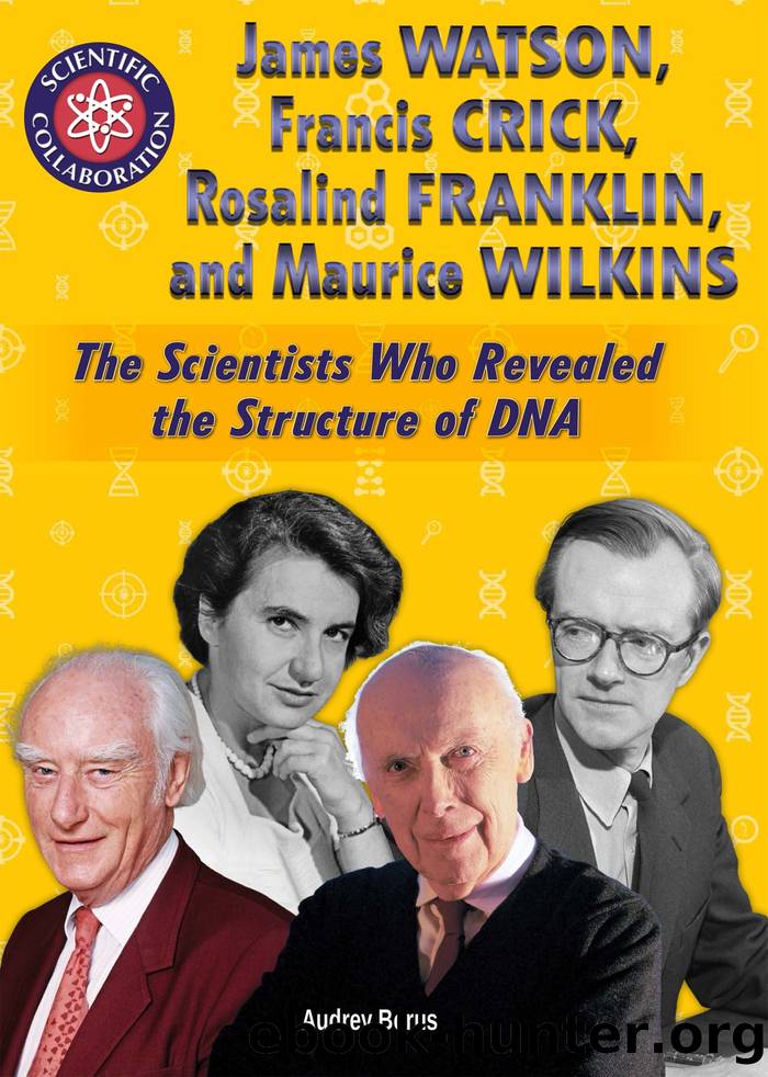 James Watson, Francis Crick, Rosalind Franklin, and Maurice Wilkins by Audrey Borus
