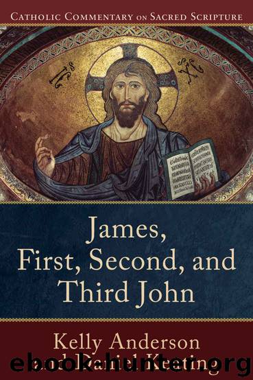 James, First, Second, and Third John (Catholic Commentary on Sacred Scripture) by Kelly Anderson & Daniel Keating