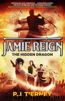 Jamie Reign the Hidden Dragon by P J Tierney