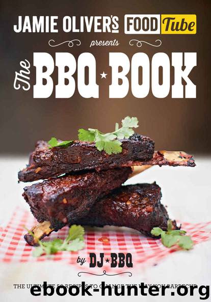 Jamie's Food Tube: The BBQ Book (Jamie Olivers Food Tube) by DJ BBQ