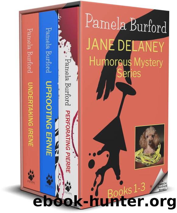 Jane Delaney Humorous Mystery Series by Pamela Burford
