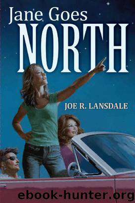 Jane Goes North by Joe R. Lansdale