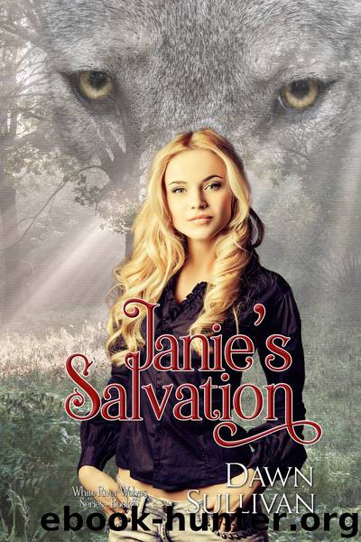 Janie's Salvation by Dawn Sullivan