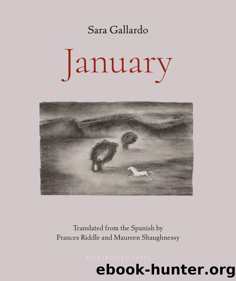 January by Sara Gallardo