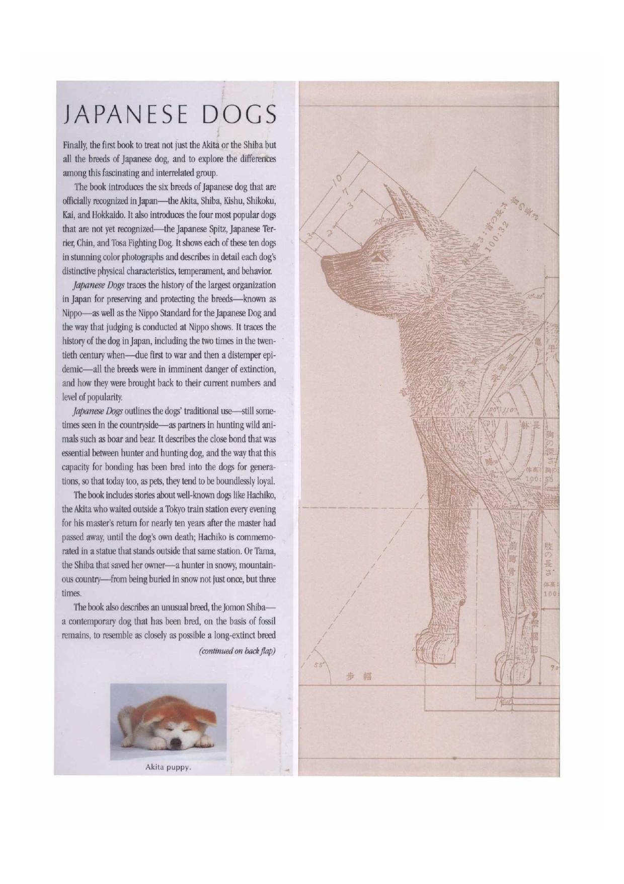 Japanese Dogs: Akita, Shiba, and Other Breeds by Unknow