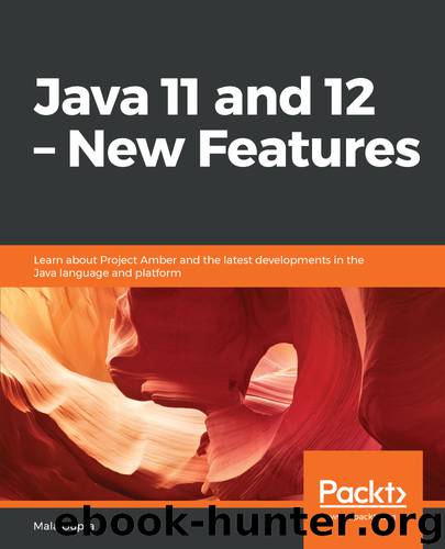 Java 11 and 12 by Mala Gupta