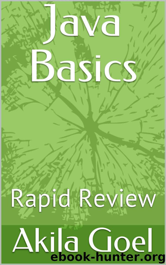 Java Basics: Rapid Review by Akila Goel