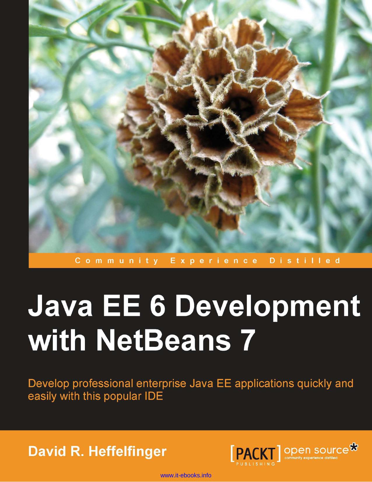 Java EE 6 Development with NetBeans 7 by David R. Heffelfinger