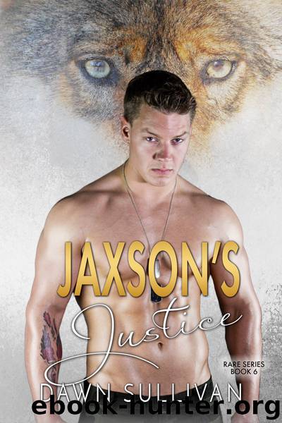 Jaxson's Justice by Dawn Sullivan