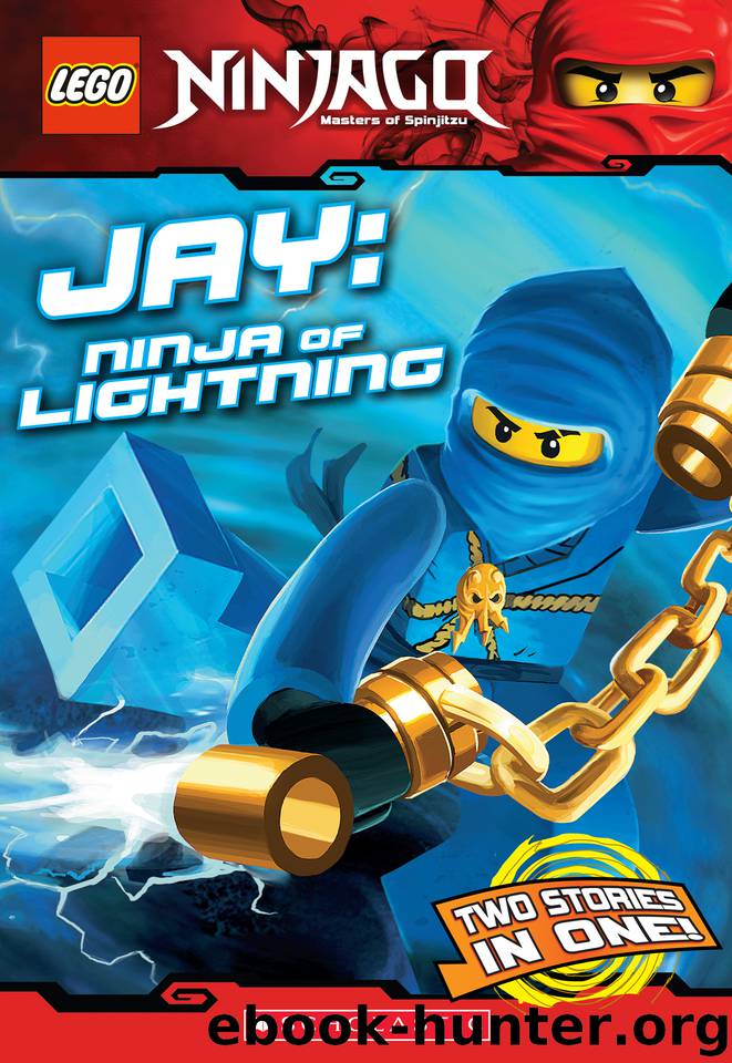 Jay by Greg Farshtey