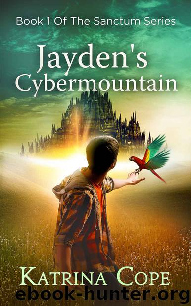 Jayden's Cybermountain by Katrina Cope