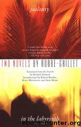Jealousy & in the Labyrinth by Alain Robbe-Grillet & Richard Howard & Roland Barthes & Bruce Morisette & Anne Minor