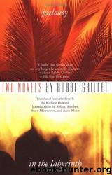 Jealousy and in the Labyrinth by Alain Robbe-Grillet