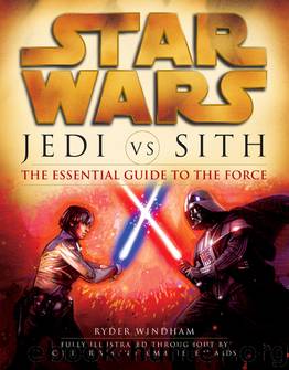 Jedi vs. Sith by Ryder Windham