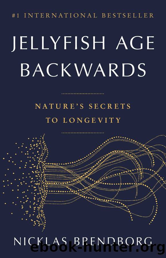 Jellyfish Age Backwards by Nicklas Brendborg