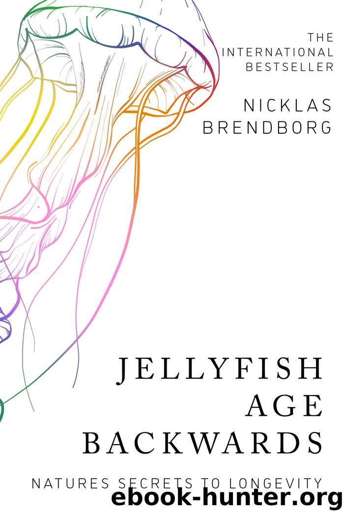 Jellyfish Age Backwards: Nature's Secrets to Longevity by Nicklas Brendborg