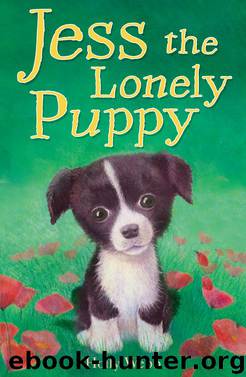 Jess the Lonely Puppy by Holly Webb