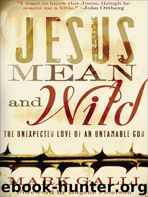 Jesus Mean and Wild by Mark Galli
